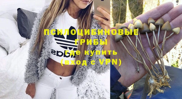 герыч Новокубанск