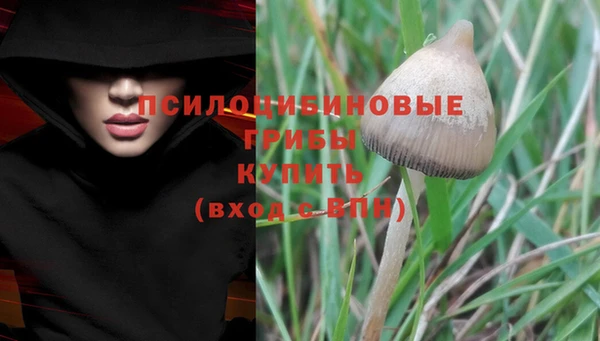кокаин колумбия Новозыбков