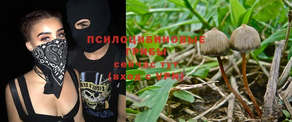 герыч Новокубанск