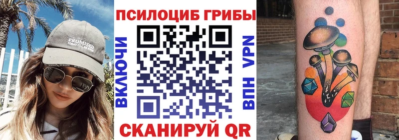 Псилоцибиновые грибы GOLDEN TEACHER  Купить закладки  Приволжск 